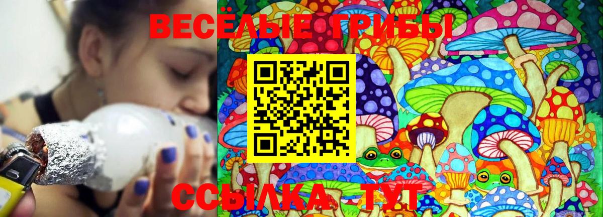 Галлюциногенные грибы мухоморы Губаха